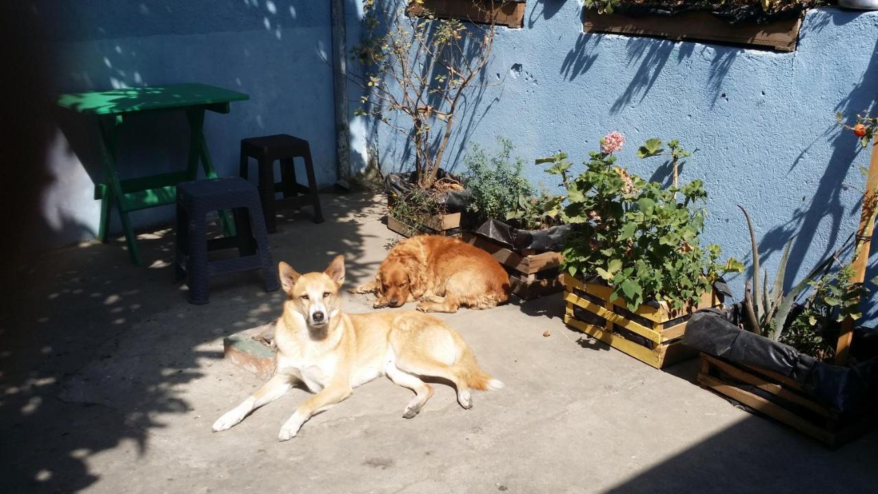 Casa Encuentro Hotell Quetzaltenango Eksteriør bilde